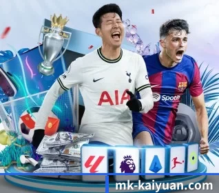 mk-kaiyuan.com的方向